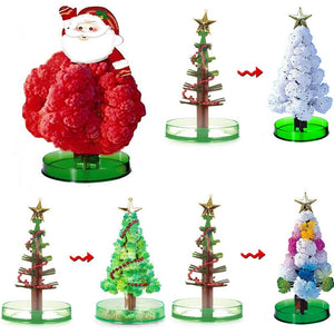 Miracle Growing Christmas Tree