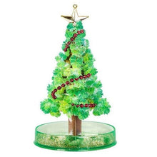 Load image into Gallery viewer, Miracle Growing Christmas Tree
