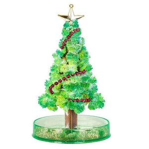 Miracle Growing Christmas Tree