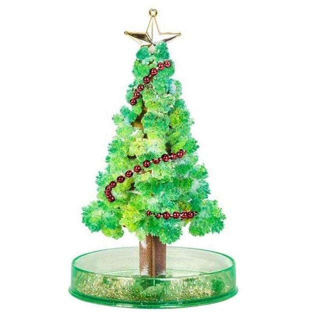 Miracle Growing Christmas Tree