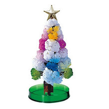 Load image into Gallery viewer, Miracle Growing Christmas Tree

