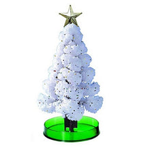 Load image into Gallery viewer, Miracle Growing Christmas Tree
